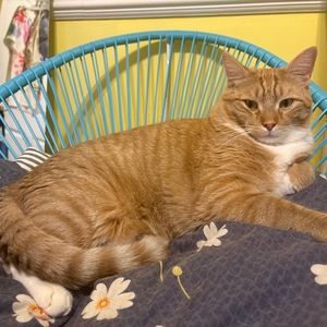 Meet your Posher, Brenna